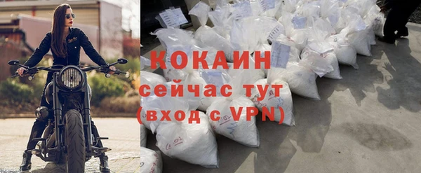 гидра Анива