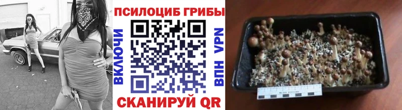 площадка какой сайт  Змеиногорск  Галлюциногенные грибы Magic Shrooms 